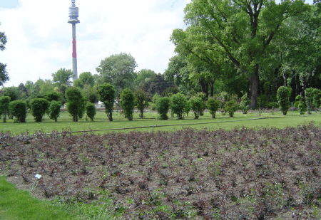 Donaupark: Hier fand 1964 die WIG (Wiener internationale Gartenaustellung) statt